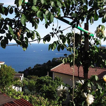 Le Mimose Villa Vietri Eksteriør billede