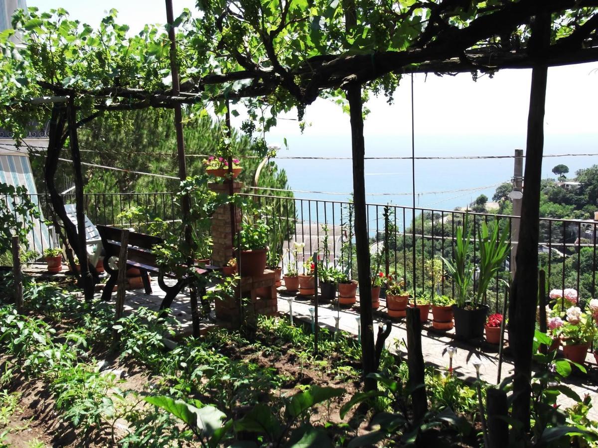 Le Mimose Villa Vietri Eksteriør billede