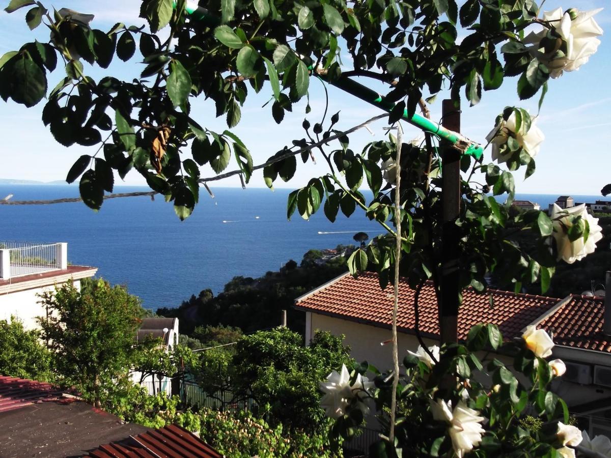 Le Mimose Villa Vietri Eksteriør billede