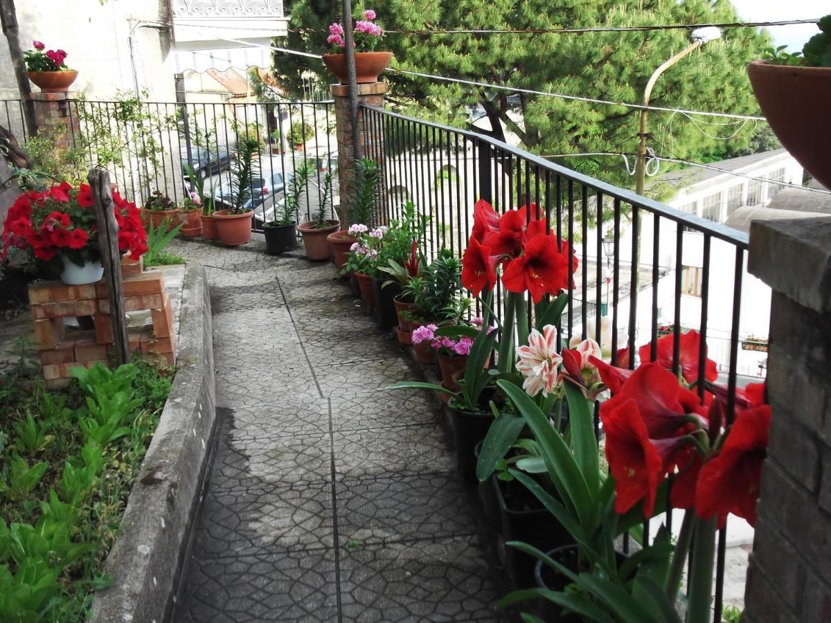 Le Mimose Villa Vietri Eksteriør billede