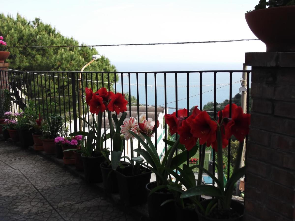 Le Mimose Villa Vietri Eksteriør billede