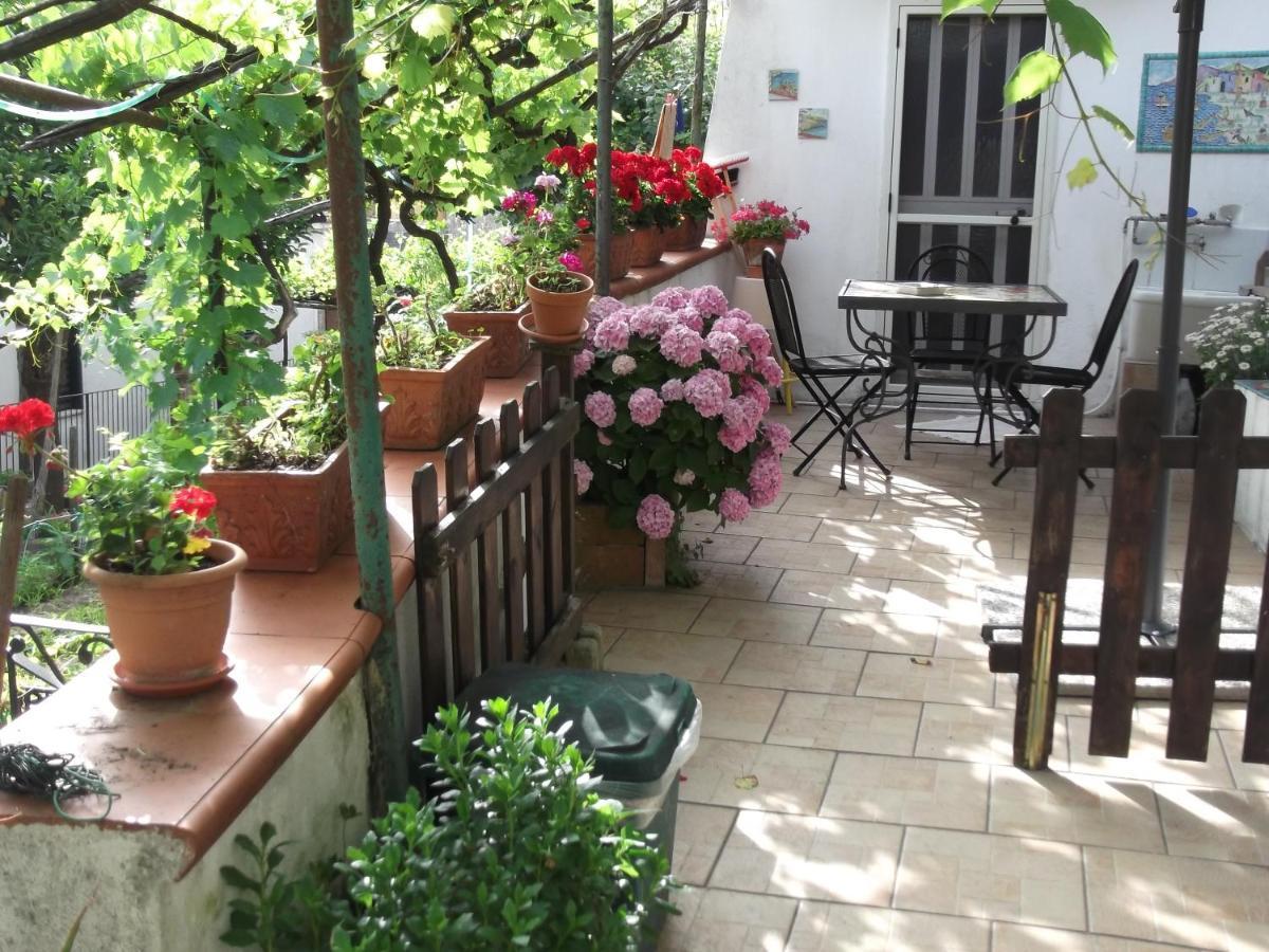 Le Mimose Villa Vietri Eksteriør billede