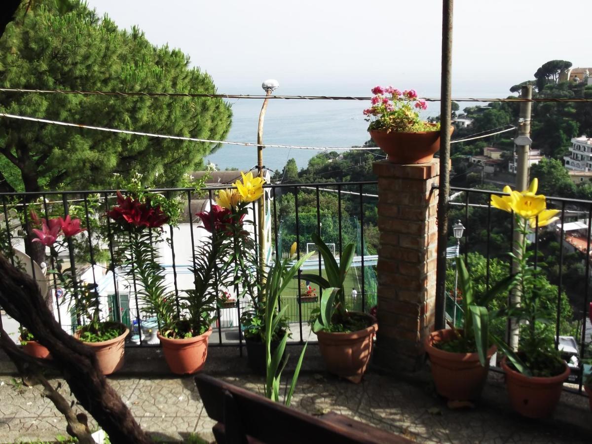 Le Mimose Villa Vietri Eksteriør billede