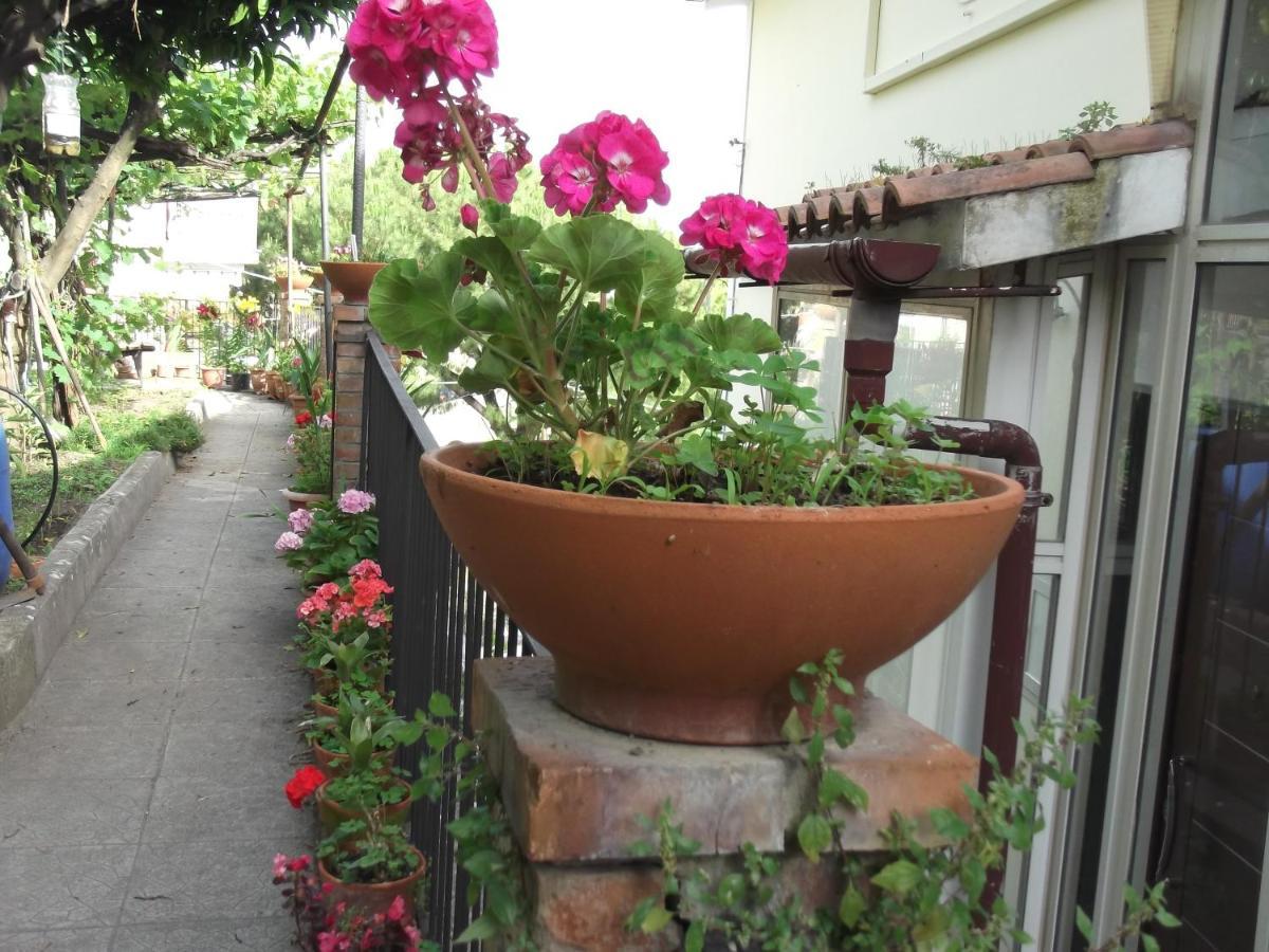 Le Mimose Villa Vietri Eksteriør billede