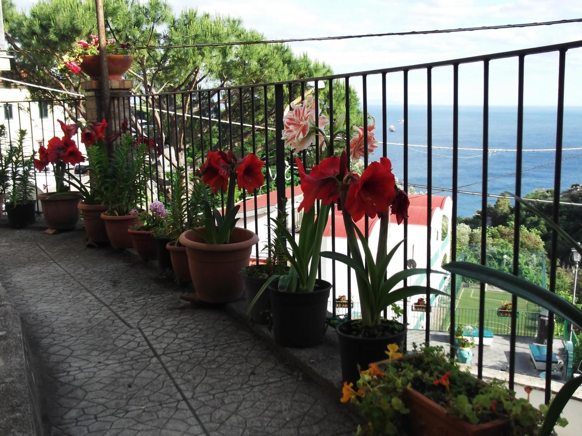 Le Mimose Villa Vietri Eksteriør billede