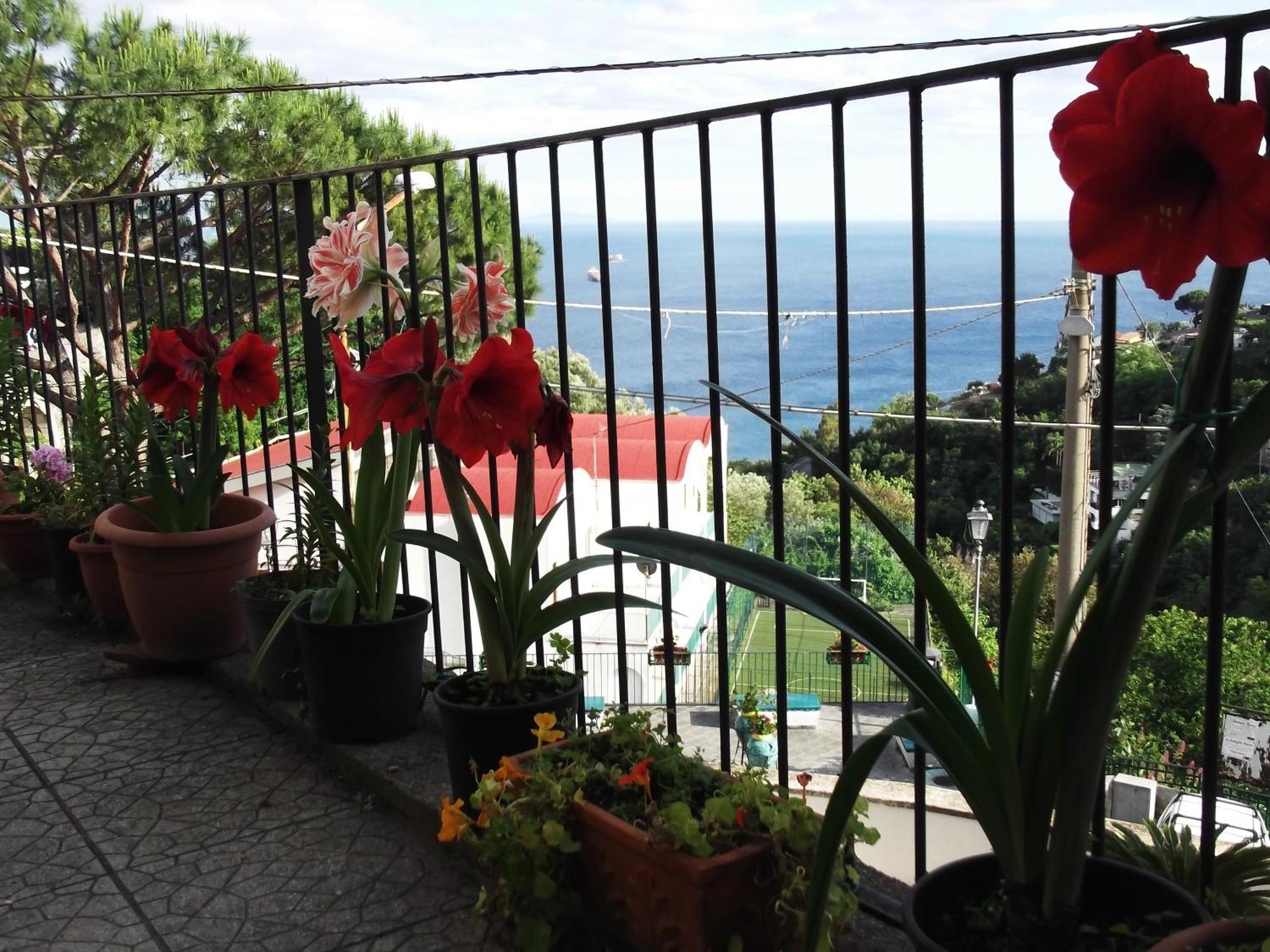 Le Mimose Villa Vietri Eksteriør billede