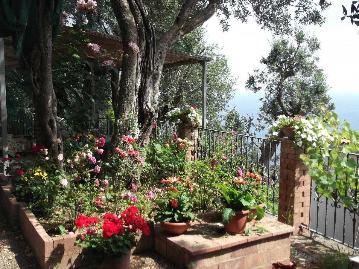 Le Mimose Villa Vietri Eksteriør billede