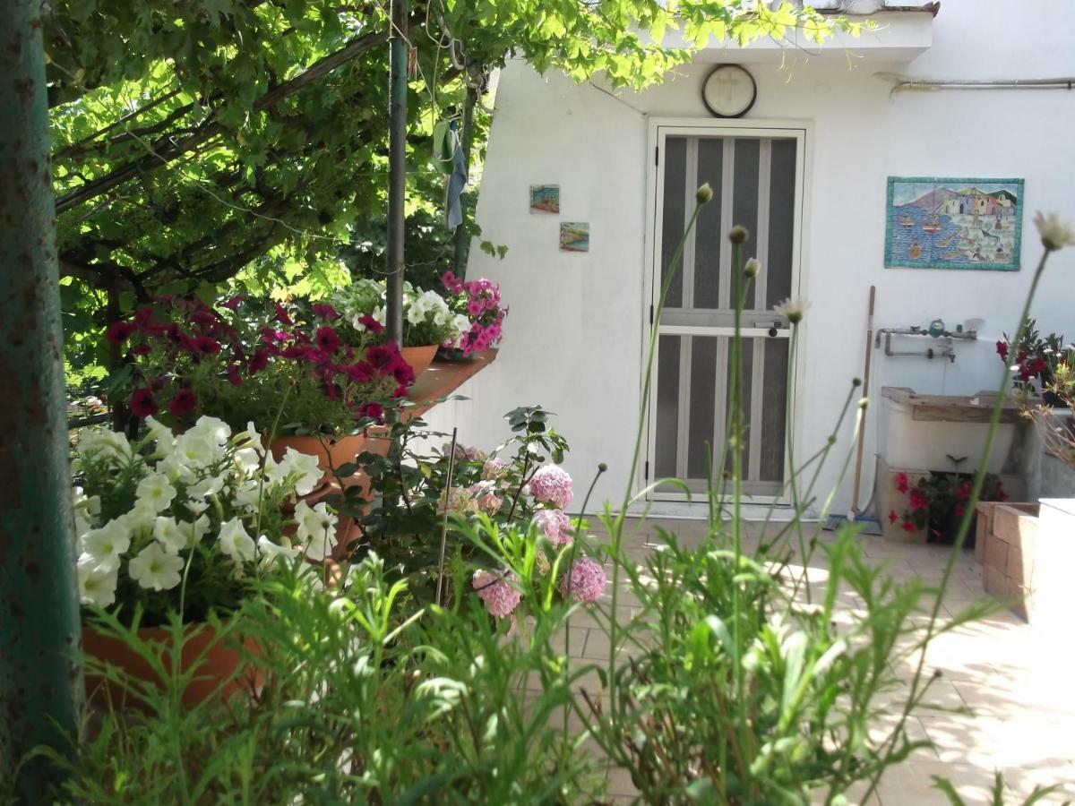 Le Mimose Villa Vietri Eksteriør billede