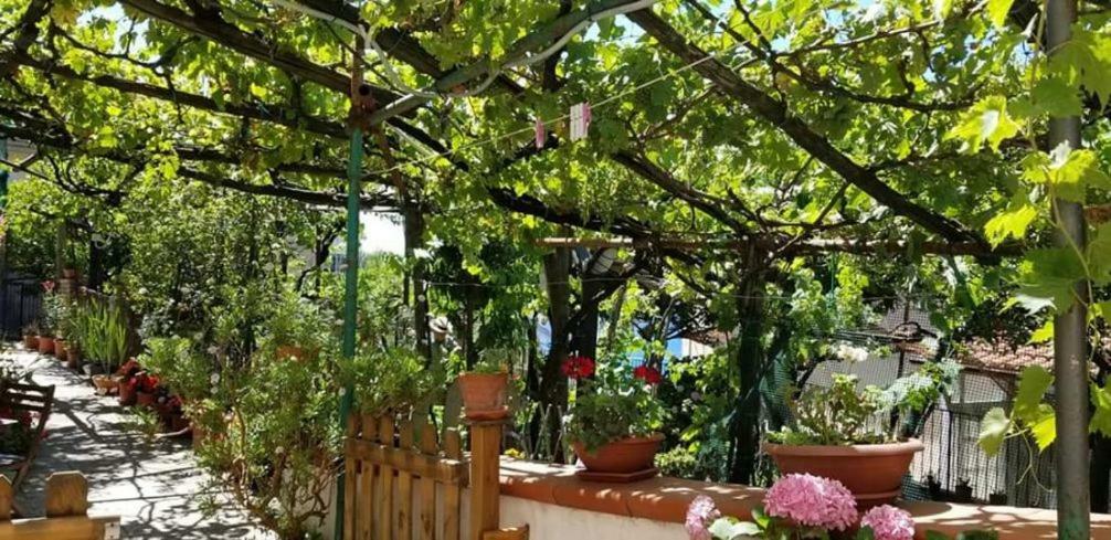 Le Mimose Villa Vietri Eksteriør billede